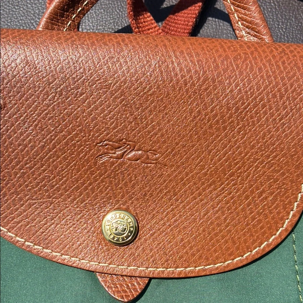 Green LONGCHAMP Tote Bag with Brown Trim - Classic Everyday Carry